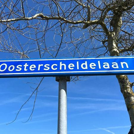 Vakantiehuis Met Luxe Tuin Dichtbij Het Strand Kamperland Bagian luar foto